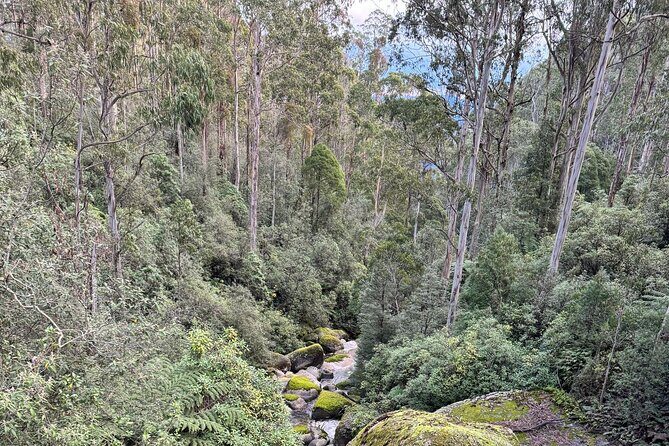 Melbourne: Ultimate Mt Baw Baw Snow Private Tour Experience. - FAQs