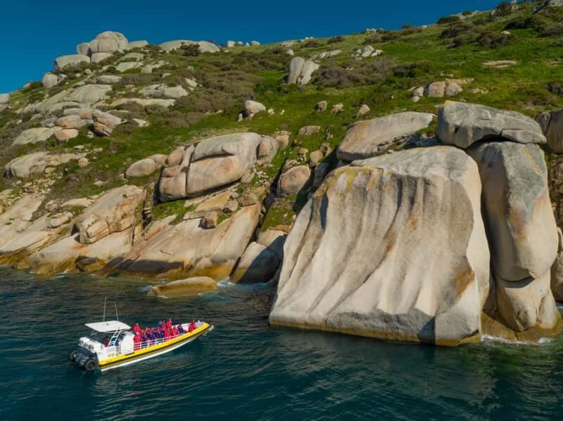 Melbourne: Wilsons Promontory Morning Wilderness Cruise - Navigating the Wilsons Promontory Wilderness Cruise