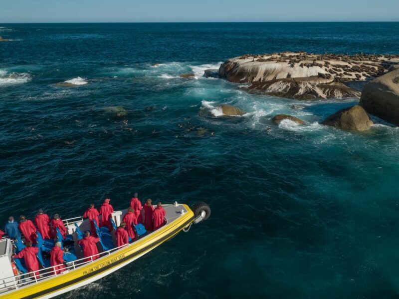 Melbourne: Wilsons Promontory Morning Wilderness Cruise - A Detailed Look at the Wilsons Promontory Wilderness Cruise