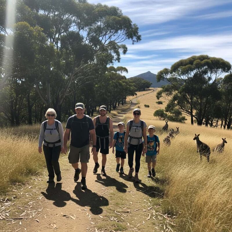 Melbourne: Yarra Valley Hike with Kangaroos & Sunset Picnic - An In-Depth Look at the Yarra Valley Hike with Kangaroos & Sunset Picnic