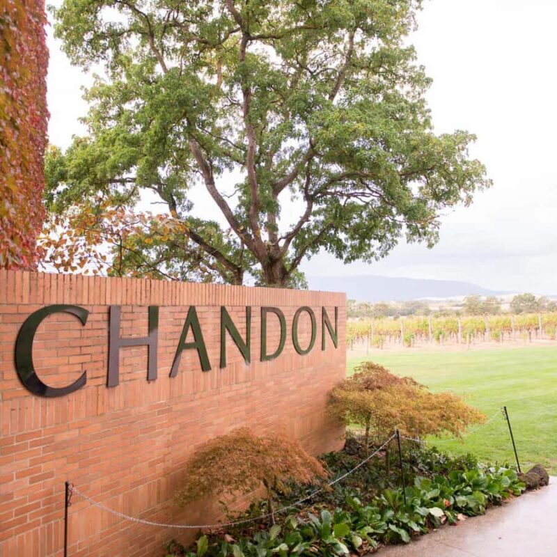 Melbourne: Yarra Valley Wine & Cherry Picking Day Trip - An In-Depth Look at the Tour Experience