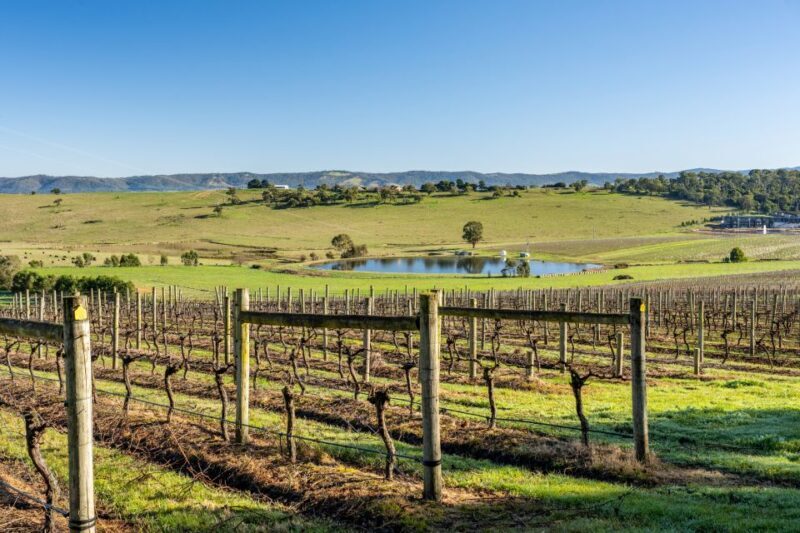 Melbourne: Yarra Valley Wine, Cider, Gin, Beer, & Choc Tour - What to Keep in Mind