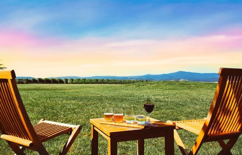 Melbourne: Yarra Valley Wine Tour & Lunch & Gin/Beer Option - Who Should Book This Tour?