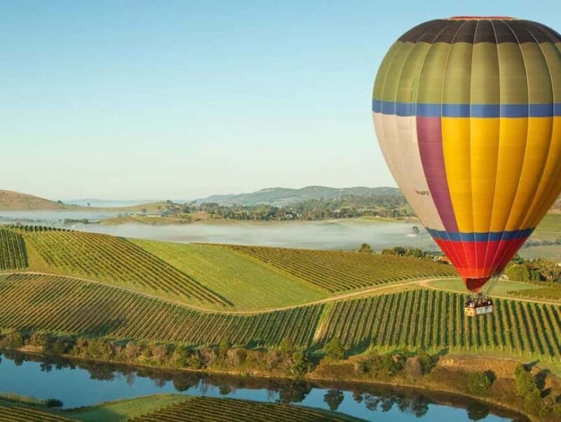 Melbourne: Yarra Valley Wineries Private Day Tour - Key Points