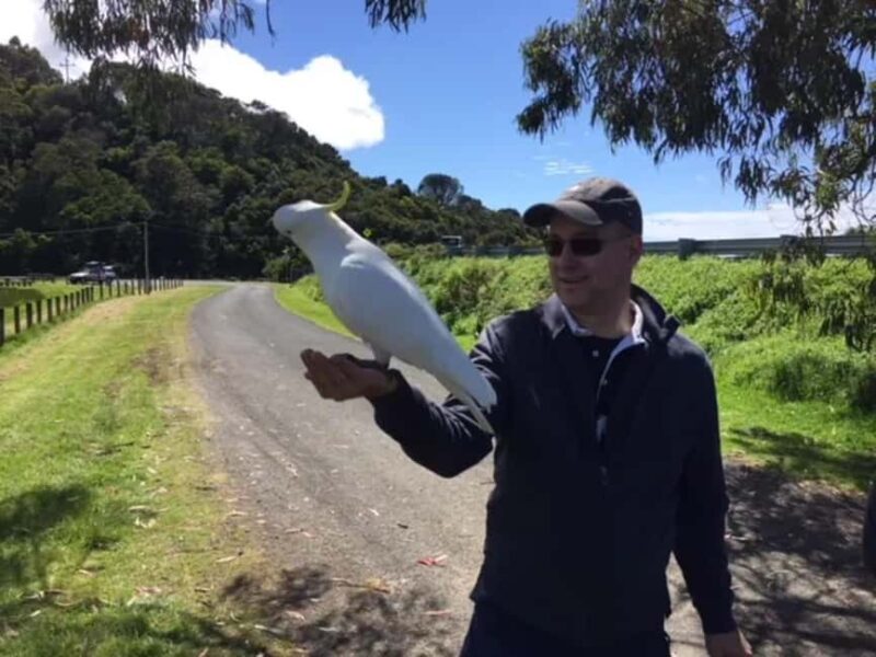 Melbourne: Yarra Valley Winery Private Tour with Lunch - What We Loved