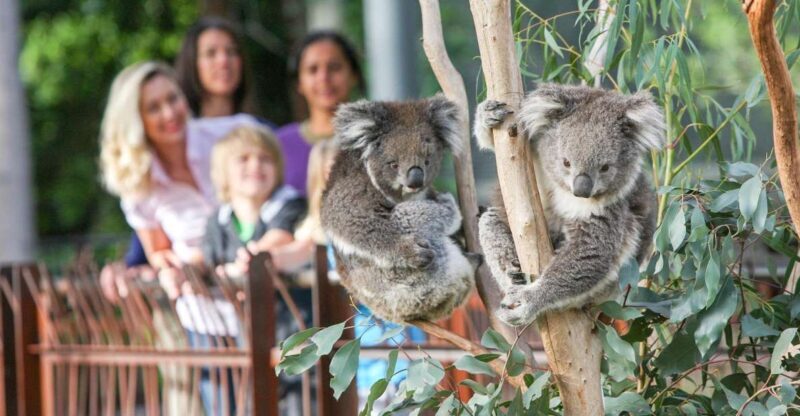 Melbourne Zoo: 1-Day Entry Ticket - Key Points