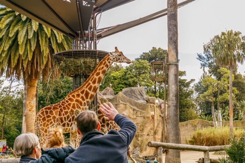 Melbourne Zoo: 1-Day Entry Ticket - FAQ
