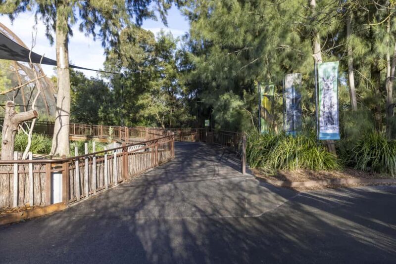 Melbourne Zoo: Australian Wildlife Experience Ticket - Practical Details & What You Should Know