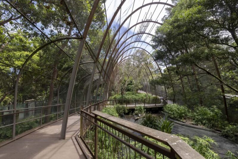 Melbourne Zoo: Australian Wildlife Experience Ticket - Authentic Experiences from Reviewers
