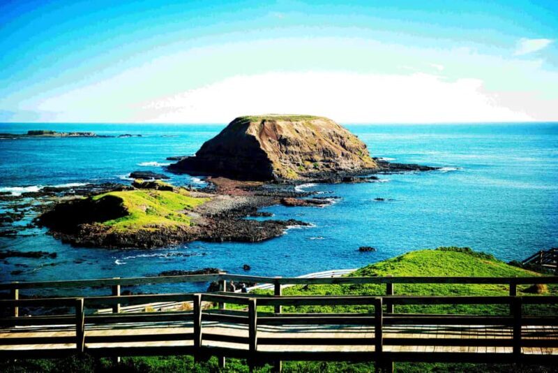 MelbournePhillip Island Tour 1 Day Tour - An In-Depth Look at the MelbournePhillip Island Tour