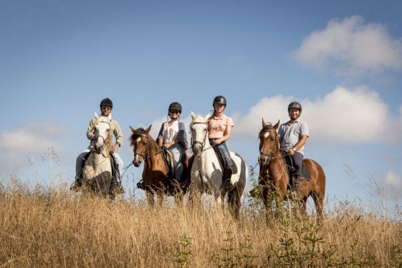 melides-horse-riding-on-the-beach-with-wine-tasting