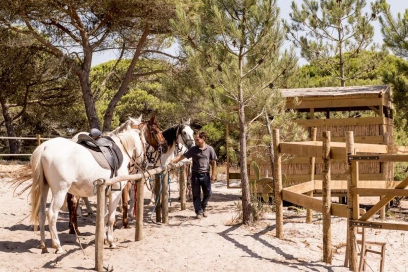 melides-horse-riding-on-the-beach-with-wine-tasting