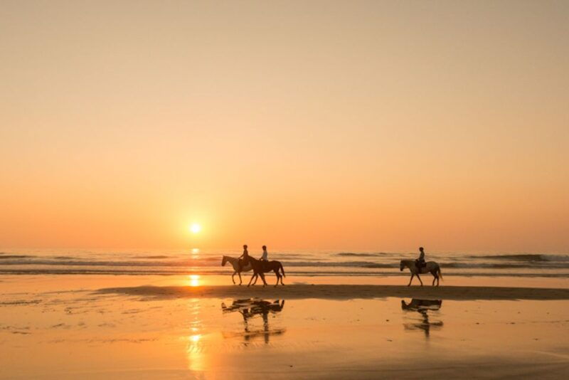 melides-horse-riding-on-the-beach-with-wine-tasting