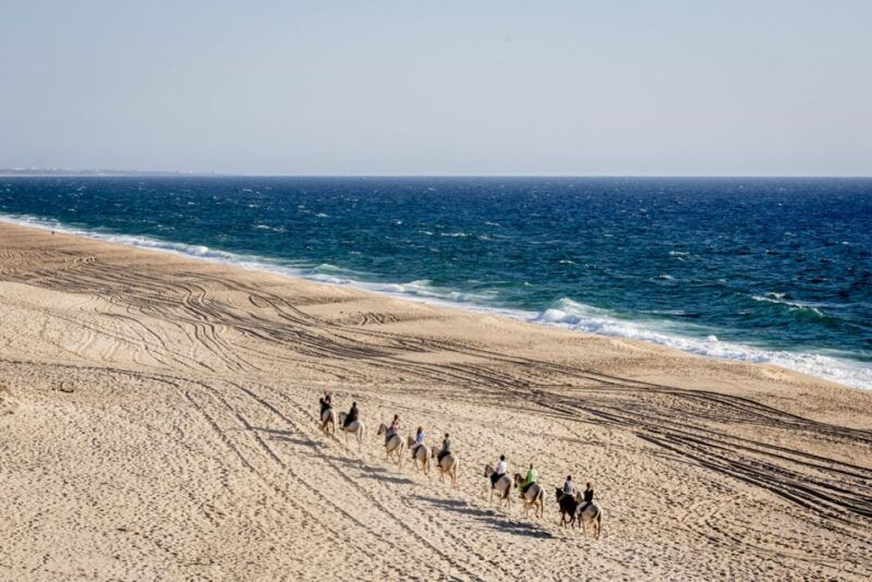 melides-horse-riding-on-the-beach-with-wine-tasting