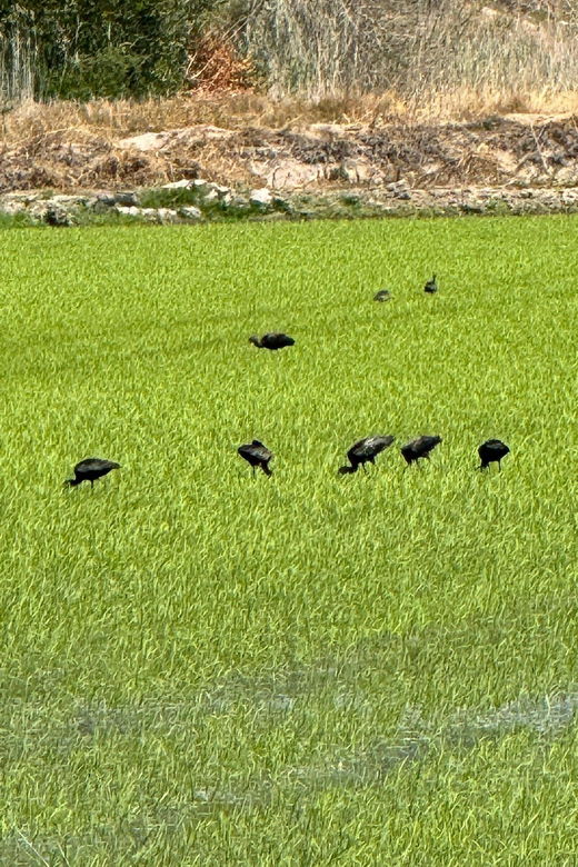 melides-moto-4-rice-fields-coastal-tour