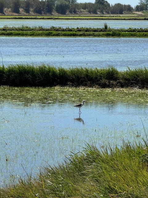 melides-moto-4-rice-fields-coastal-tour