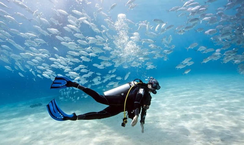 Mellieha: Introductory Diving Session in the Open Sea - What to Expect from the Mellieha Introductory Diving Session
