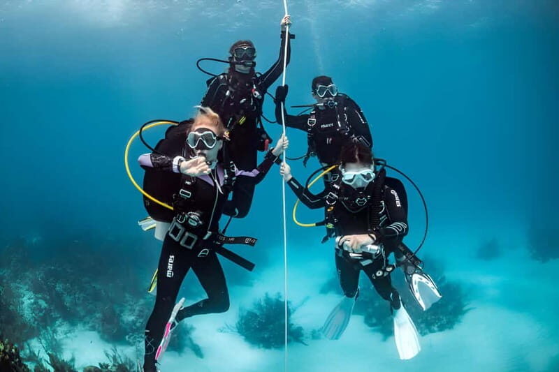 Mellieha: Introductory Diving Session in the Open Sea - The Experience in Context