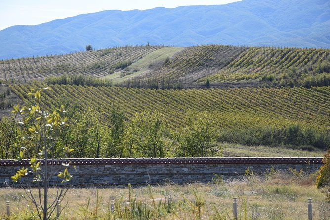 melnik-wine-tasting-tour-from-sofia