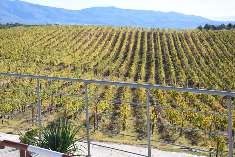 Melnik Wine Tour - Introduction to the Melnik Wine Tour