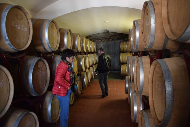 Melnik Wine Tour - Who is this tour best suited for?