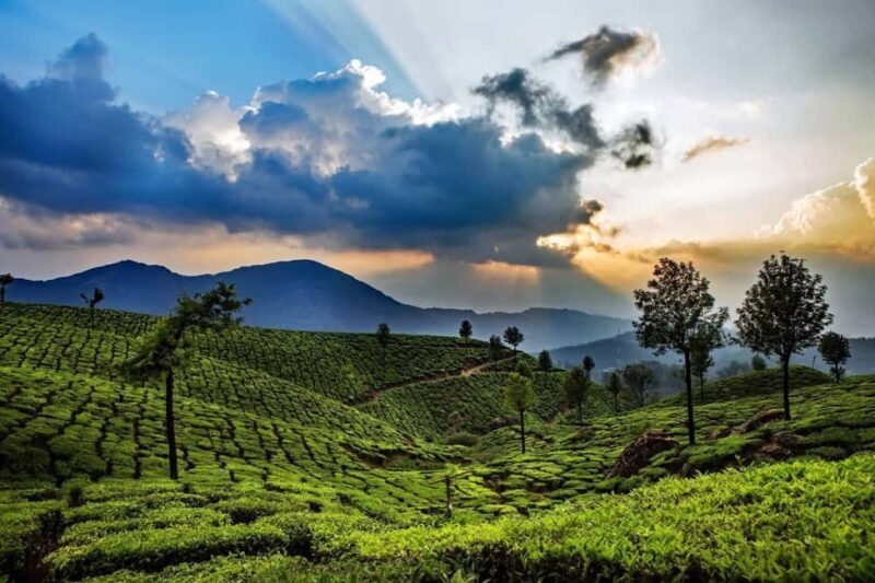 Memorable, Munnar Hill Station Tour (02 Nights / 03 Days) - FAQ