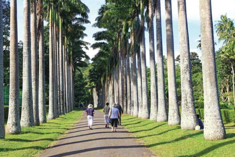 memorable-tuk-tuk-city-tour-of-kandy