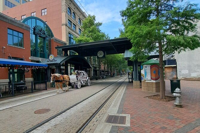 memphis-city-highlights-private-guided-sightseeing-tour