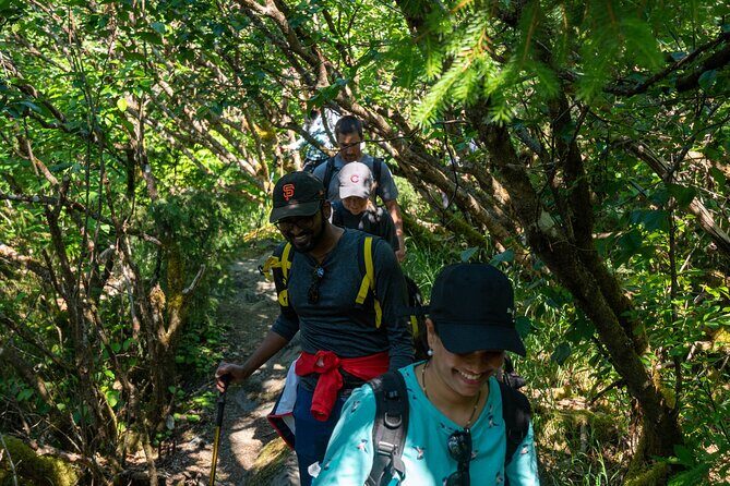 Mendenhall Glacier Guided Hike Juneau - Authentic Traveler Insights