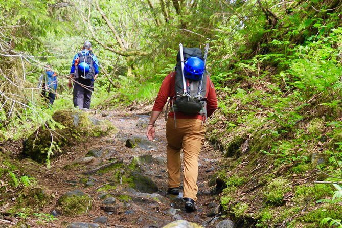 Mendenhall Glacier Guided Hike Juneau - Practical Details & Tips