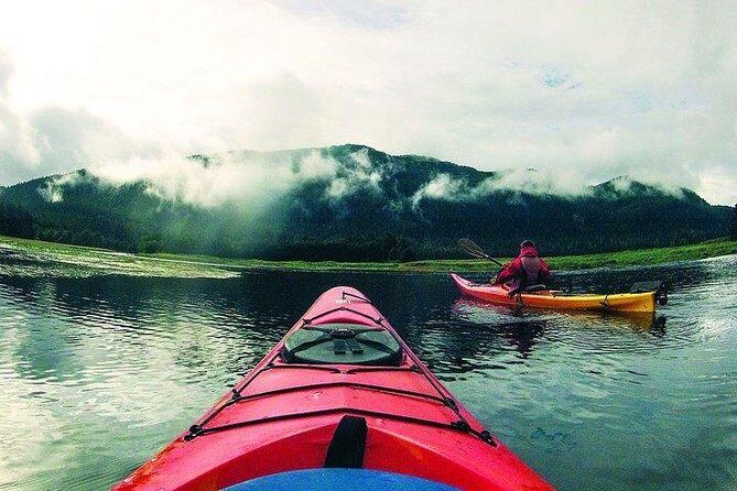 Mendenhall Glacier View Sea Kayaking - The Value of This Experience
