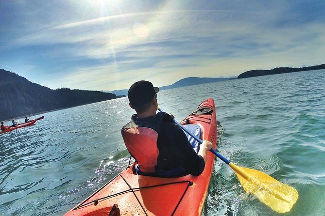 Mendenhall Glacier View Sea Kayaking - Authentic Experiences from Travelers