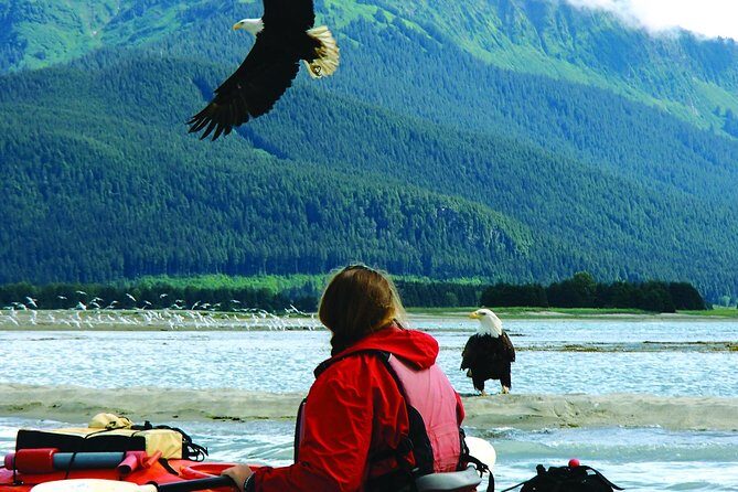 Mendenhall Glacier View Sea Kayaking - Who Is This Tour Best For?