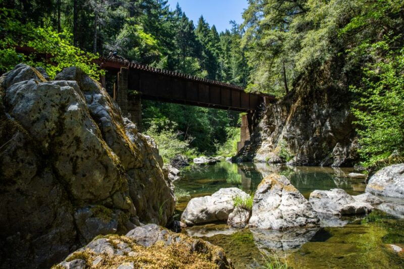 mendocino-county-pudding-creek-railbikes
