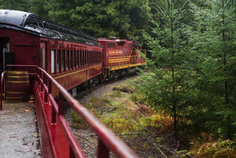 mendocino-county-skunk-train-wolf-tree-turn-train-ride