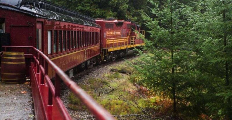 mendocino-county-skunk-train-wolf-tree-turn-train-ride