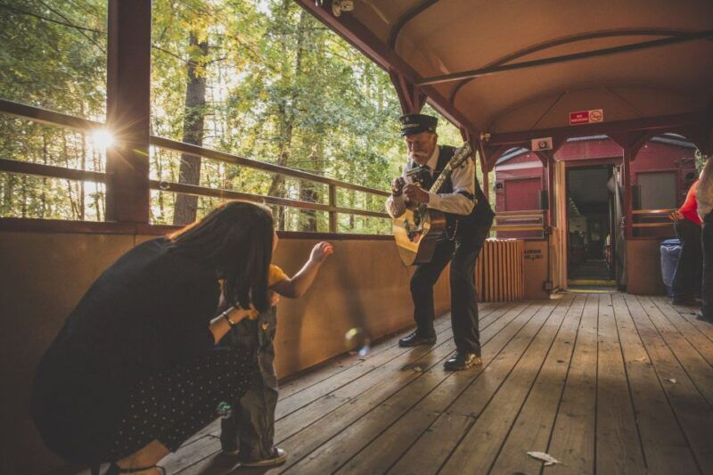 mendocino-county-skunk-train-wolf-tree-turn-train-ride