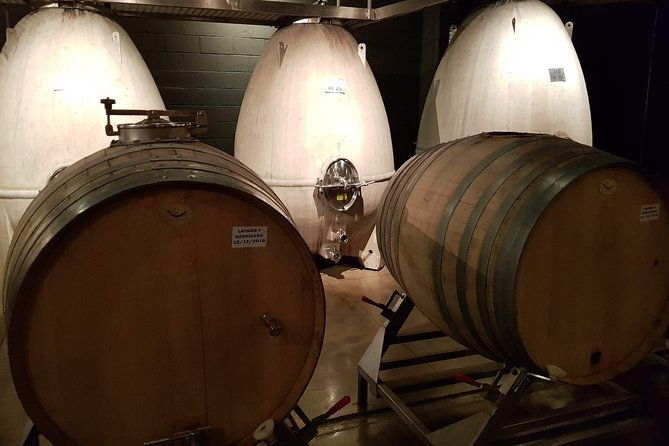 mendoza-hop-on-hop-off-wine-tour