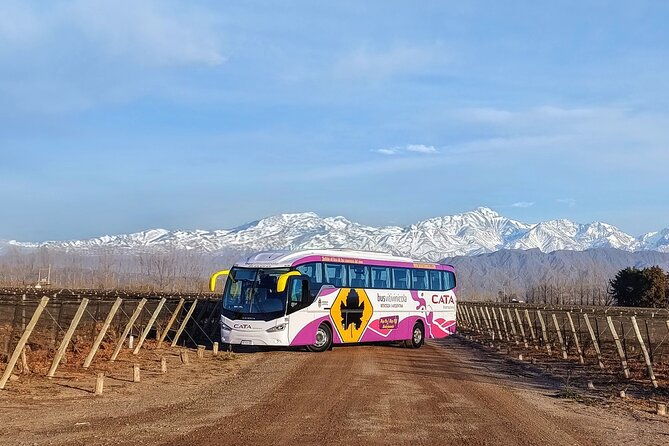 mendoza-hop-on-hop-off-wine-tour