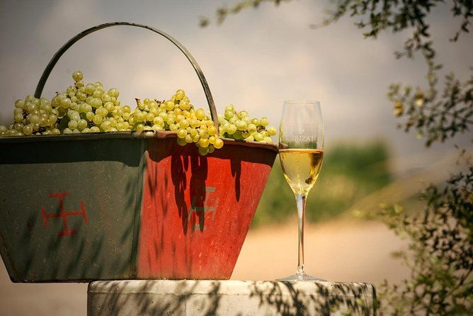 mendoza-hop-on-hop-off-wine-tour