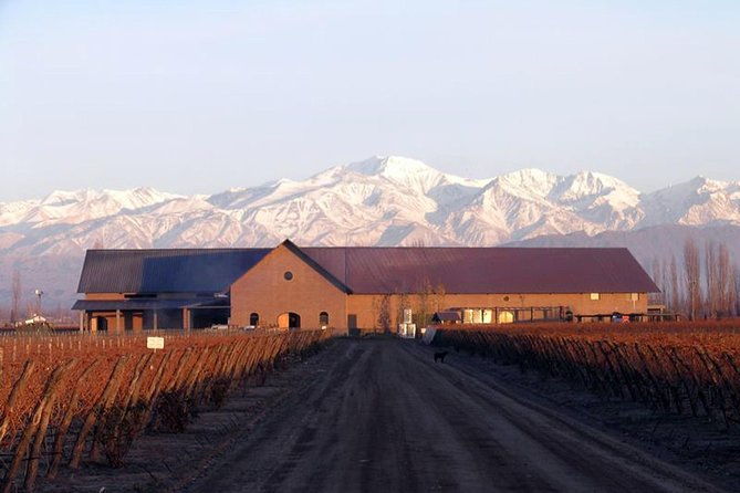 mendoza-hop-on-hop-off-wine-tour