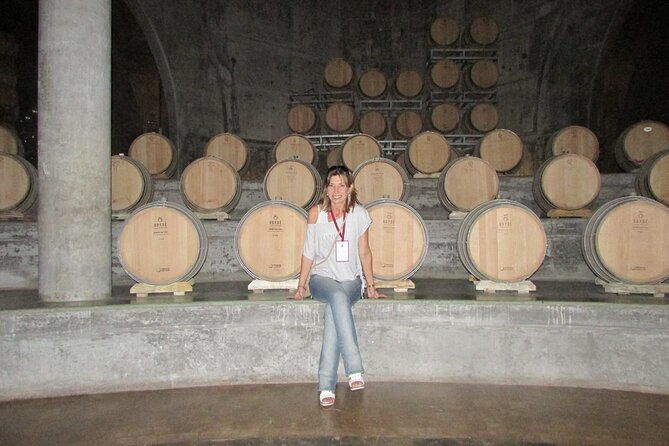 mendoza-wine-route-a-full-day-private-excursion