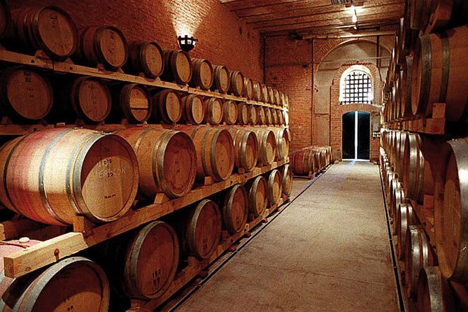 mendoza-wine-route-a-full-day-private-excursion