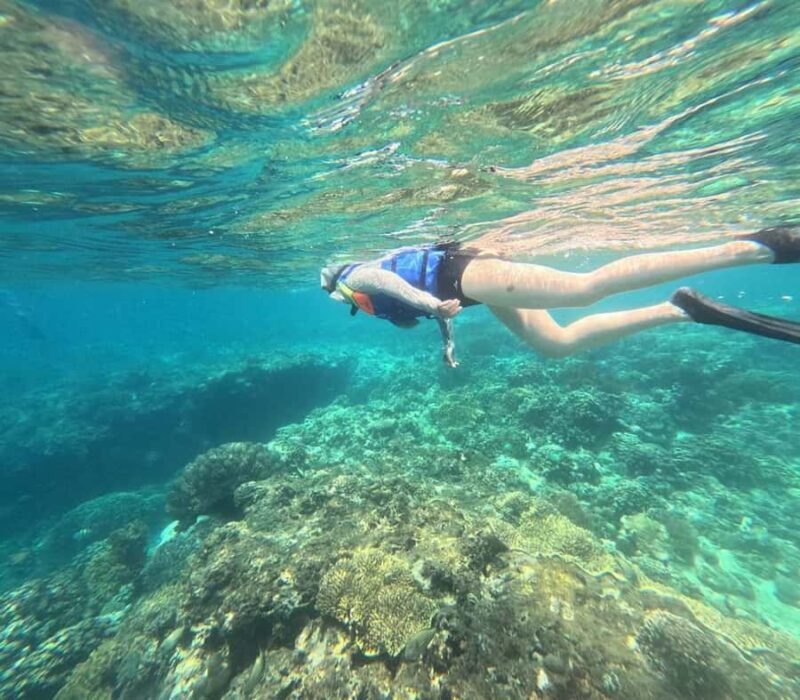Menjangan Island: Snorkeling Tour with Lunch - Who Will Love This Tour?