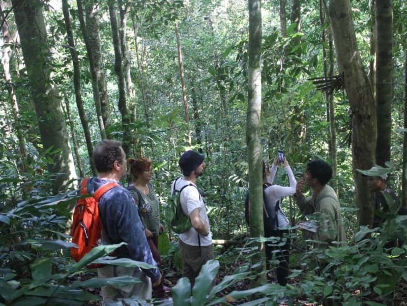 Menjangan Marine Beauty & Rainforest Exploration - Authentic Insights from Other Travelers