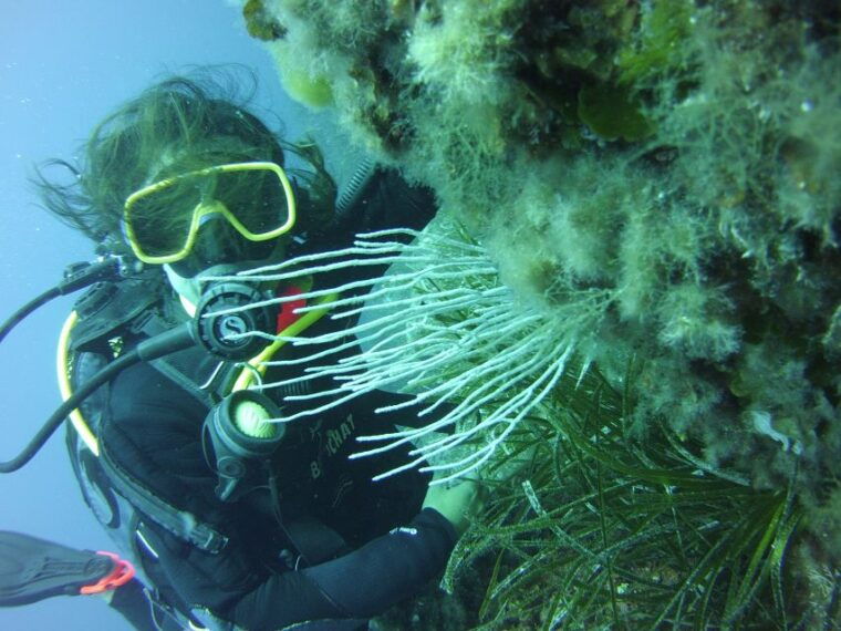 menorca-baptism-scuba-diving-in-marine-reserve