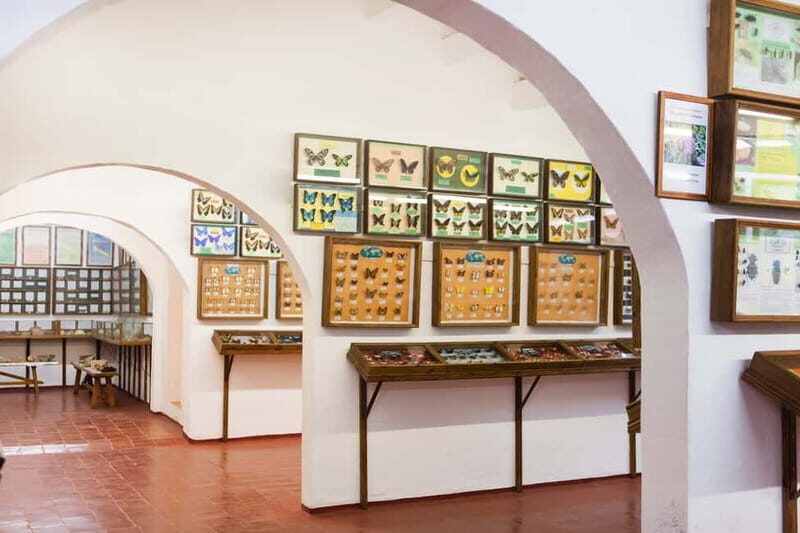 Menorca: Binissues & Natural Sciences Museum Ticket - Who Should Consider This Experience?