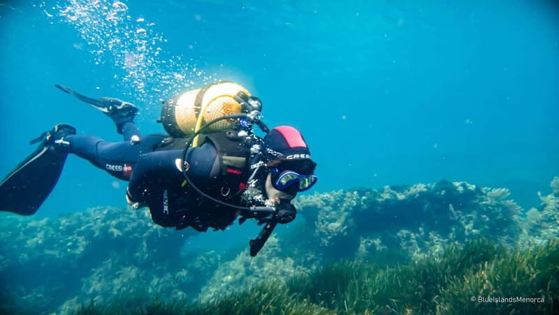 Menorca: Cala Galdana Try Scuba Diving for Beginners - Final Thoughts: Who Will Love This?
