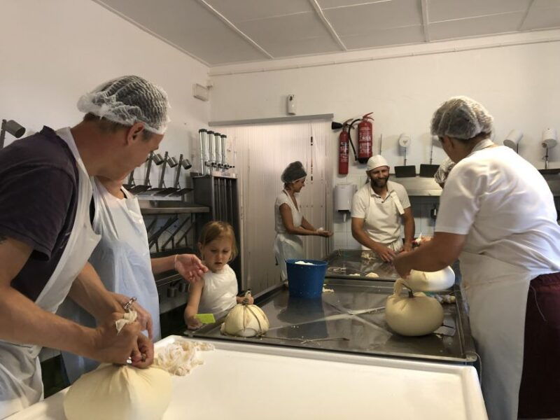 menorca-cheesemaking-and-farm-fresh-product-tasting