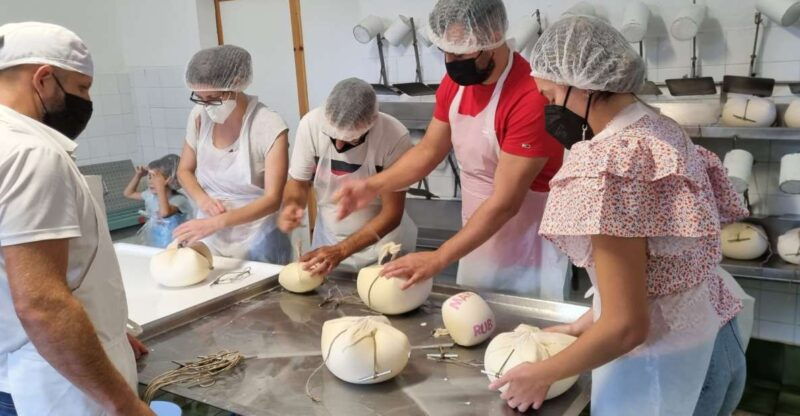 menorca-cheesemaking-and-farm-fresh-product-tasting